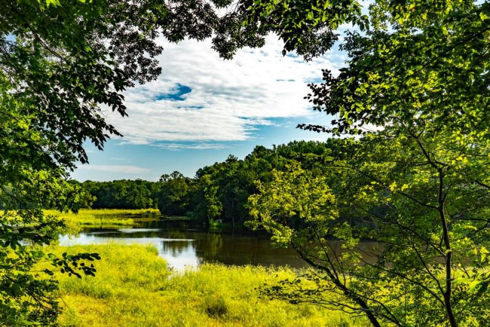 Frederick Douglass Park on the Tuckahoe preserves 107 acres overlooking Tuckahoe Creek near the Talbot County landscape where Frederick Douglass was born, as shown here. A descendant of Maryland’s original 1775 Liberty Tree has been planted at the park.