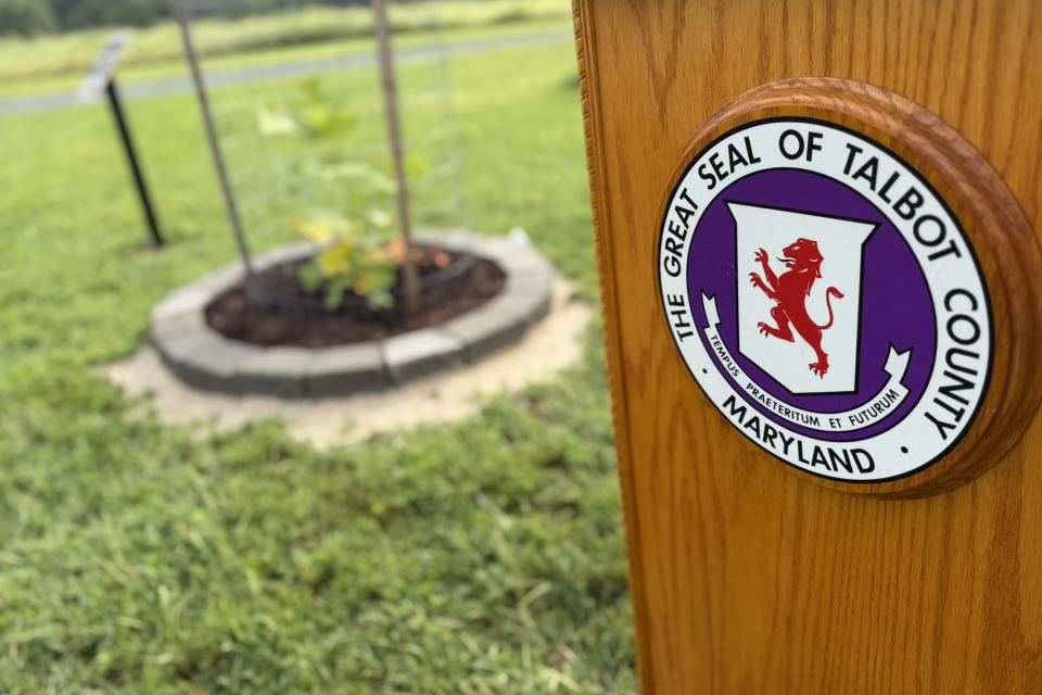 The Talbot County podium stands beside the newly planted Liberty Tree at Frederick Douglass Park on the Tuckahoe in Queen Anne, Md., following its Sept. 3 dedication. The tulip tree is descended from Maryland’s original Liberty Tree.